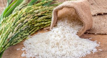 Dịch vụ vận tải thực phẩm tươi sống tiện lợi, giá rẻ TP. Hồ Chí Minh – Quảng Trị