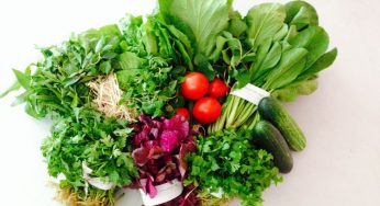 Dịch vụ vận tải thực phẩm tươi sống giá rẻ, đảm bảo TP. Hồ Chí Minh – Tây Ninh