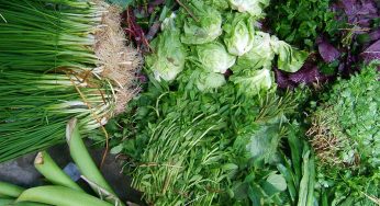 Dịch vụ vận tải thực phẩm tươi sống đảm bảo, nhanh chóng TP. Hồ Chí Minh – Thừa Thiên – Huế