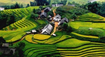 Dịch vụ vận chuyển thực phẩm tươi sống TP. Hồ Chí Minh – Lai Châu giá rẻ