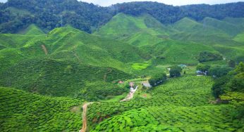 Vận tải thực phẩm tươi sống tiện ích, giá rẻ TP. Hồ Chí Minh – Lạng Sơn