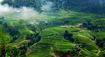 Dịch vụ gửi hàng, quà Tết từ Sài Gòn đi Bắc Giang