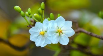 Vận chuyển quà Tết từ Sài Gòn đi Bình Định an toàn, uy tín