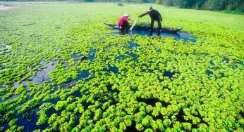 Vận chuyển hàng hóa dịp tết giá rẻ từ Hà Nội đi Cà Mau