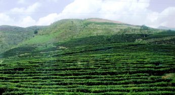 Dịch vụ vận chuyển hàng tết an toàn, giá rẻ từ Hà Nội đi Phú Thọ