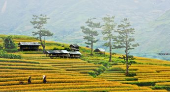 Dịch vụ vận chuyển hàng hóa giá rẻ dịp Tết từ TP Hồ Chí Minh đi Điện Biên