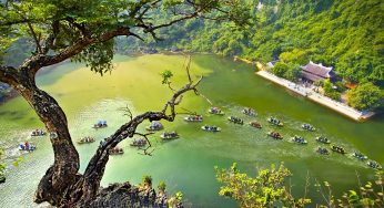 Dịch vụ vận chuyển hàng hóa giá rẻ dịp Tết từ TP Hồ Chí Minh đi Ninh Bình