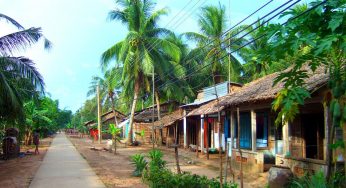 Dịch vụ vận chuyển hàng hóa giá rẻ dịp Tết từ TP Hồ Chí Minh đi Sóc Trăng