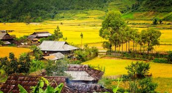 Dịch vụ vận chuyển hàng hóa giá rẻ dịp Tết từ TP Hồ Chí Minh đi Sơn La