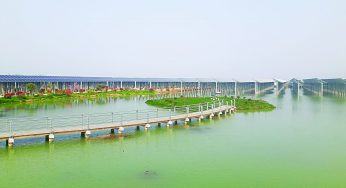 Dịch vụ vận chuyển hàng hóa giá rẻ dịp Tết từ TP Hồ Chí Minh đi Tây Ninh