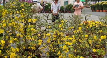 Gửi hàng uy tín mặt hàng Tết từ Sài Gòn đi Bình Dương
