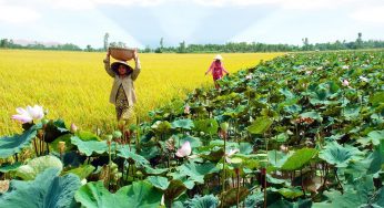 Vận chuyển hàng hóa giá rẻ, tiện lợi Hà Nội đi Đồng Tháp