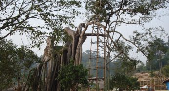 Dịch vụ vận chuyển quần áo Tết từ Sài Gòn đi Tuyên Quang