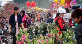 Dịch vụ vận chuyển hàng hóa dịp Tết từ Sài Gòn đi Thái Nguyên an toàn