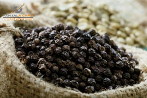 Vận chuyển hạt tiêu đi Nga nhanh chóng