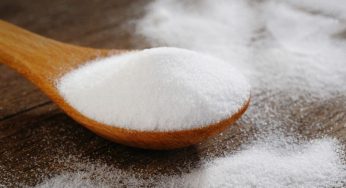 Dịch vụ vận chuyển đường tinh luyện đi Đức giá cạnh tranh số 1