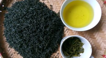 Dịch vụ gửi Trà Nõn Tôm Tân Cương đi Hàn Quốc của Vận Tải Á Châu