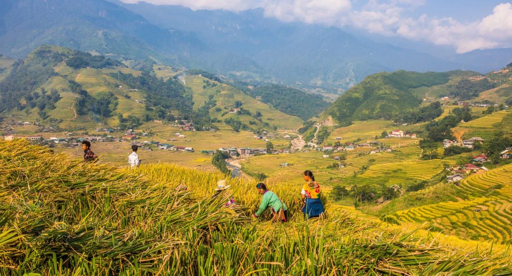 vận chuyển hàng hóa đi sapa