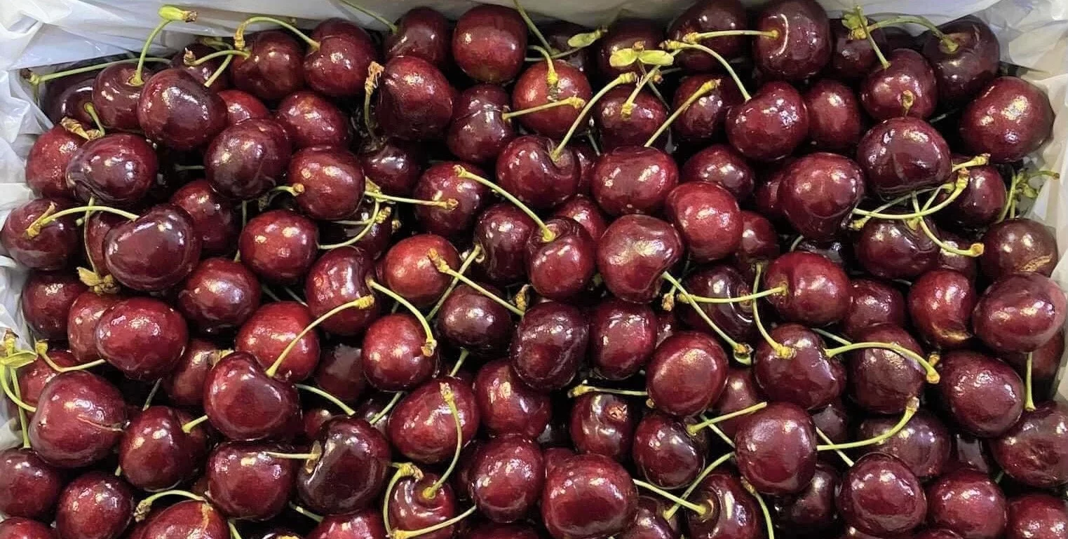 Vận chuyển cherry về Việt Nam