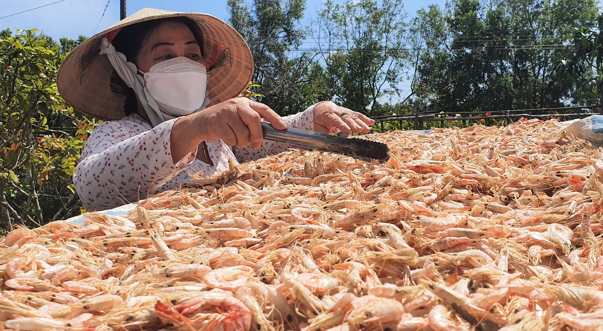 Vận chuyển tôm khô đi Châu Âu