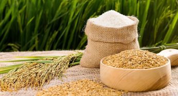 Dịch vụ vận chuyển gạo bằng đường bộ nhanh chóng và đảm bảo.