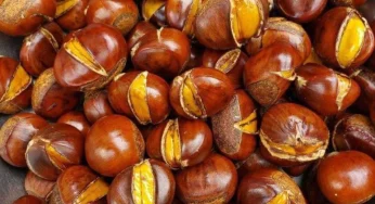 Vận chuyển hạt dẻ rang bơ đi Hà Nội tại Vận tải Á Châu nhanh chóng.