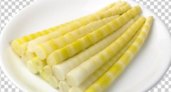 Dịch Vụ Vận Chuyển Măng Tươi Từ A Lưới Đi Hà Nội