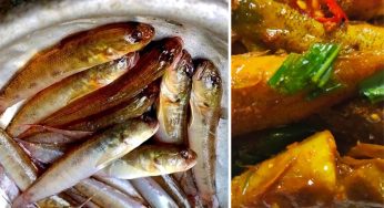 Dịch Vụ Vận Chuyển Cá Bống Từ Huế Đi Hà Nội Nhanh Chóng