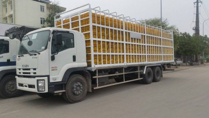 Dịch Vụ Gửi Gia Cầm Nhanh Chóng, An Toàn Tại Vận Tải Á Châu Logistics