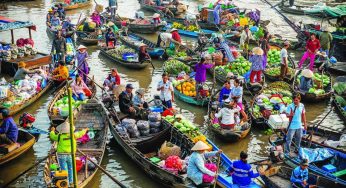 Vận Chuyển Hàng May Mặc Từ Cần Thơ Đi Miền Tây – Nhanh Chóng, An Toàn, Giá Tốt Số 1 Thị Trường!