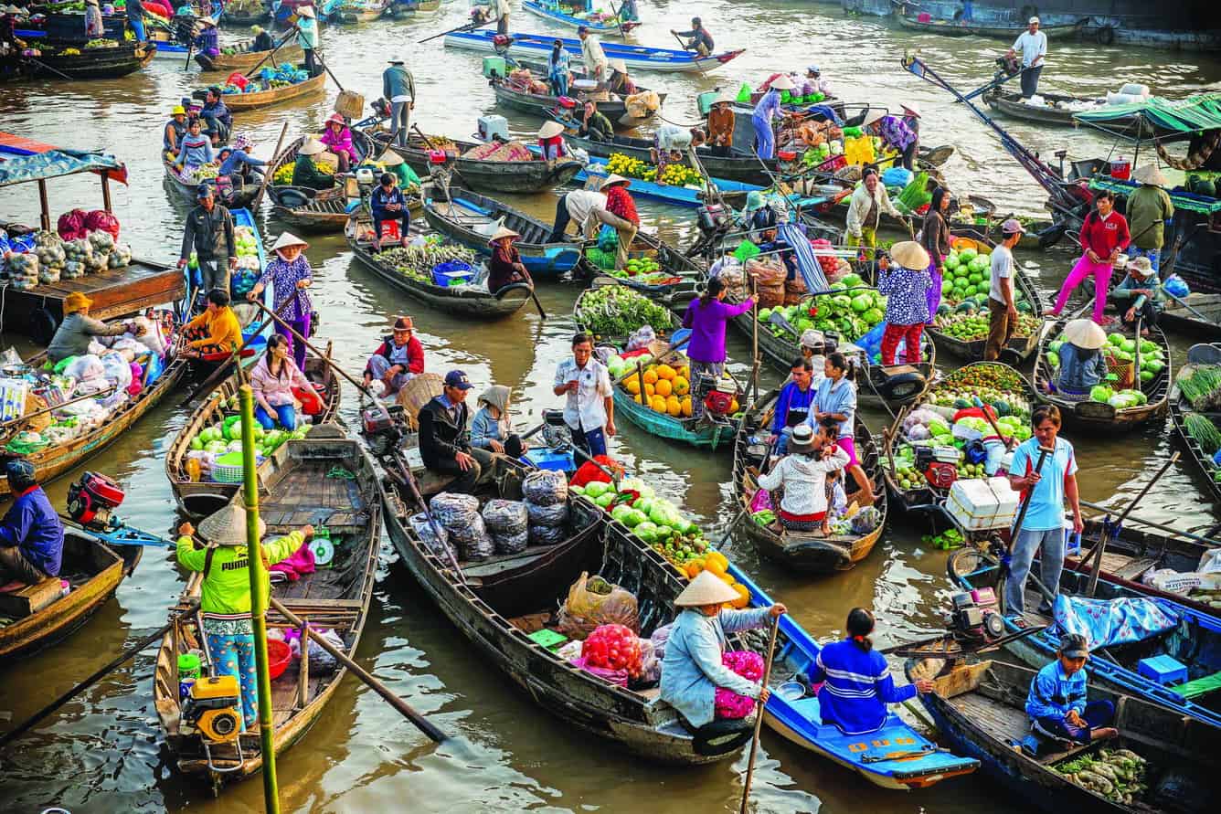 Dịch Vụ Vận Chuyển Trái Cây Chuyên Nghiệp Từ Cần Thơ Đến Cảng Cát Lái: An Toàn, Nhanh Chóng, Hiệu Quả Số 1