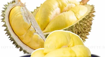 Dịch Vụ Vận Chuyển Sầu Riêng Đi Các Tỉnh An Toàn, Nhanh Chóng