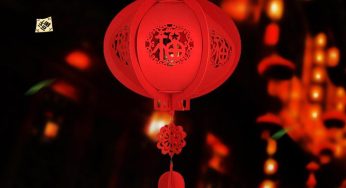 Dịch Vụ Vận Chuyển Lồng Đèn Tết An Toàn, Nhanh Chóng