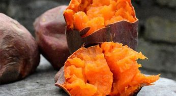 Dịch Vụ Vận Chuyển Khoai Lang Mật Từ Cần Thơ Đi Các Tỉnh An Toàn, Nhanh Chóng