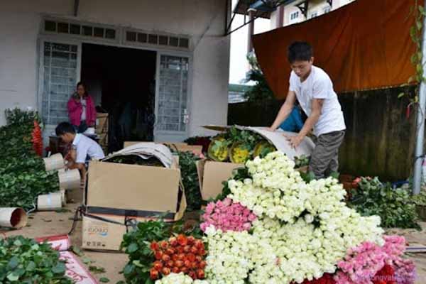 Vận Chuyển Hoa Từ Cần Thơ Đi Bình Dương Đảm Bảo Tươi Mới