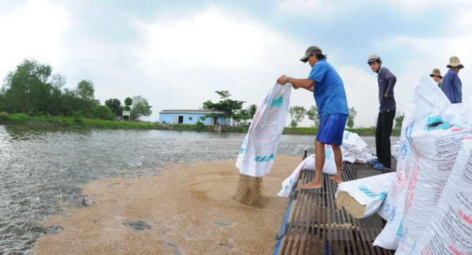 Dịch vụ vận chuyển cám cho thủy hải sản từ Hồ Chí Minh tới Cần Thơ 1 cách nhanh chóng, an toàn cùng Vận tải Á Châu