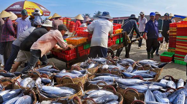 Dịch vụ vận chuyển cám cho thủy hải sản từ Hồ Chí Minh tới Cà Mau 1 cách nhanh chóng và hiệu quả cùng Vận tải Á Châu