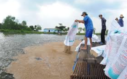 Dịch vụ vận chuyển cám cho thủy hải sản từ Hồ Chí Minh tới Cà Mau 1 cách nhanh chóng và hiệu quả cùng Vận tải Á Châu