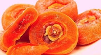 Dịch vụ vận chuyển hồng sấy dẻo từ Hà Nội đi Đà Nẵng nhanh chóng