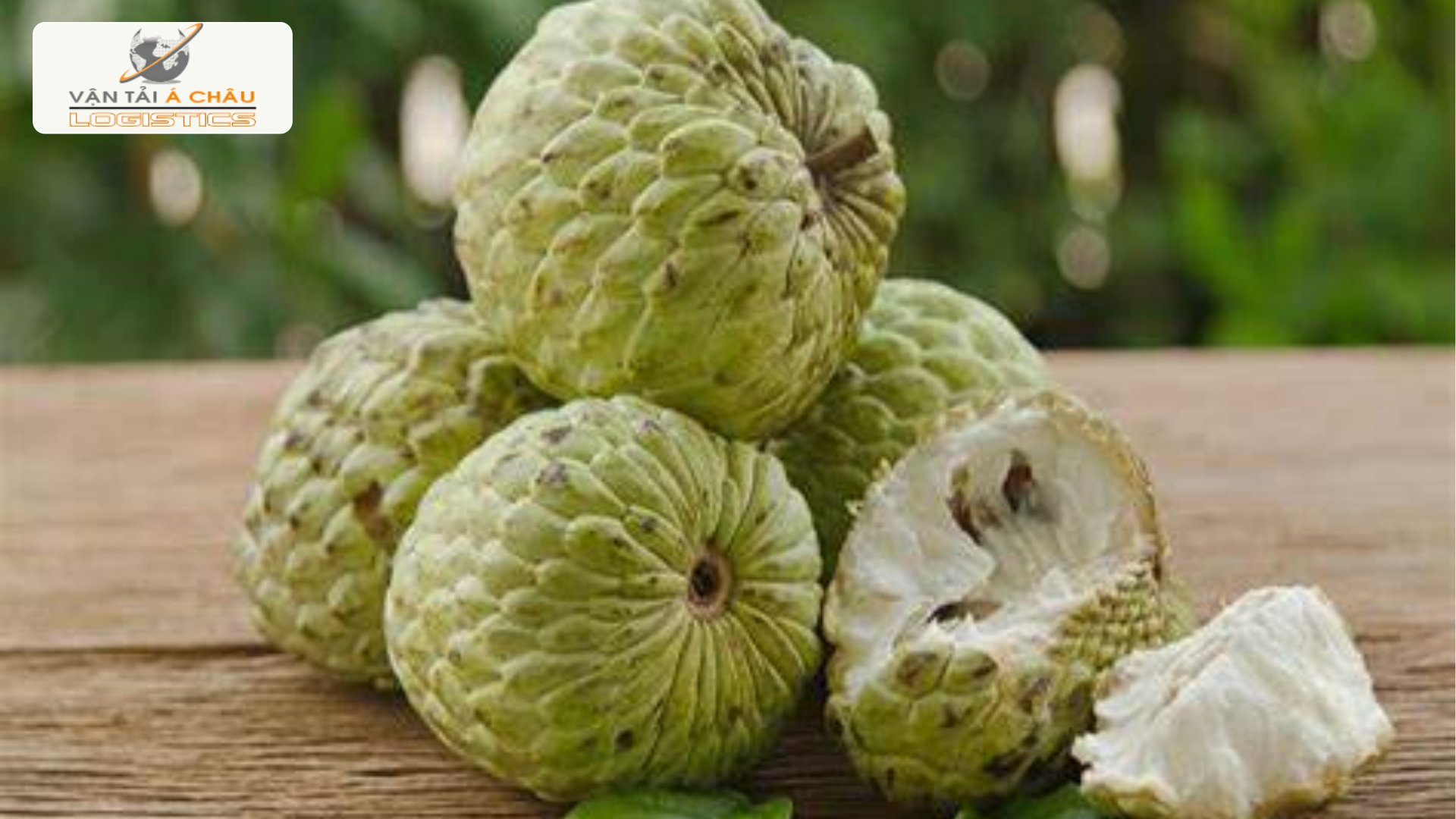 Vận chuyển mãng cầu Bà Đen từ Tây Ninh ra Hải Phòng