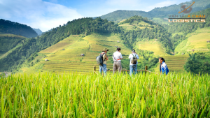 NÔNG SẢN NÔNG SẢN NÔNG SẢN