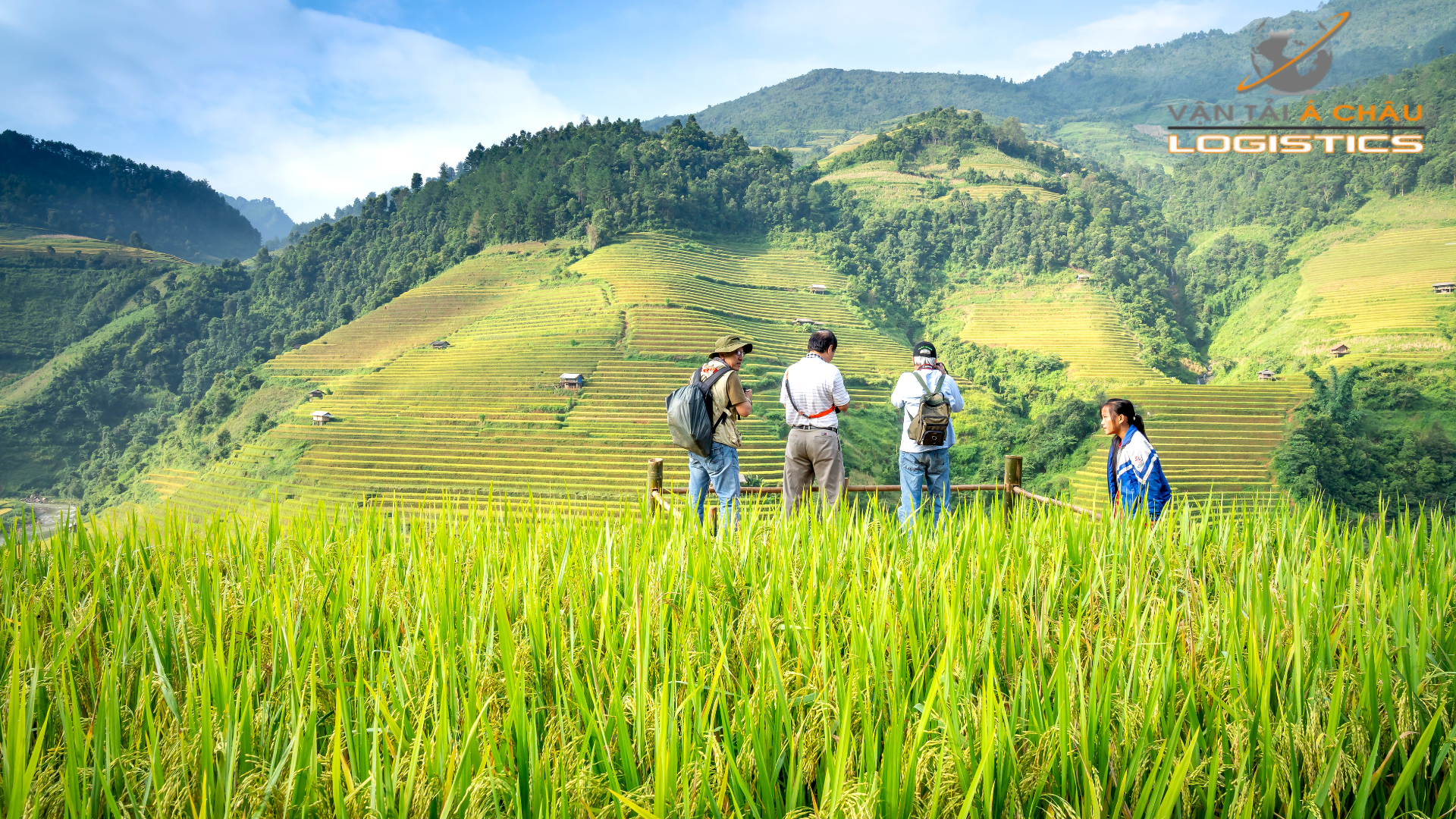 NÔNG SẢN NÔNG SẢN NÔNG SẢN