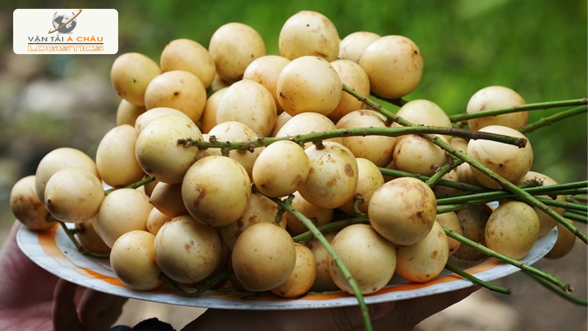 Chuyến hành trình đưa dâu Hạ Châu Hậu Giang “bắc tiến”