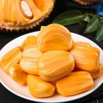 VẬN CHUYỂN MÍT NGHỆ TIỀN GIANG ĐẾN ĐÀ NẴNG NHANH CHÓNG 2025