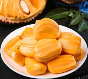 VẬN CHUYỂN MÍT NGHỆ TIỀN GIANG ĐẾN ĐÀ NẴNG NHANH CHÓNG 2025