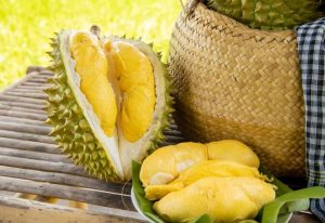 VẬN CHUYỂN SẦU RIÊNG TỪ NAM RA BẮC NHANH CHÓNG 2025