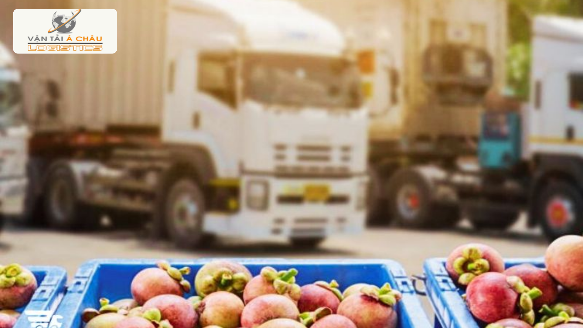 Giữ trái tươi – Bí quyết vận chuyển nông sản mùa nắng nóng không sợ héo, không lo trễ. Giữ trái tươi – Bí quyết vận chuyển nông sản mùa nắng nóng không sợ héo, không lo trễ.