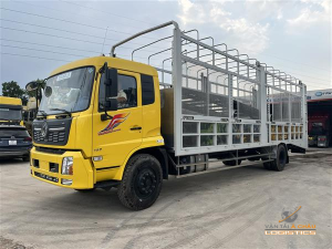 Vận chuyển xe ô tô bằng xe lồng từ Hà Nội đi Nha Trang uy tín, chuyên nghiệp