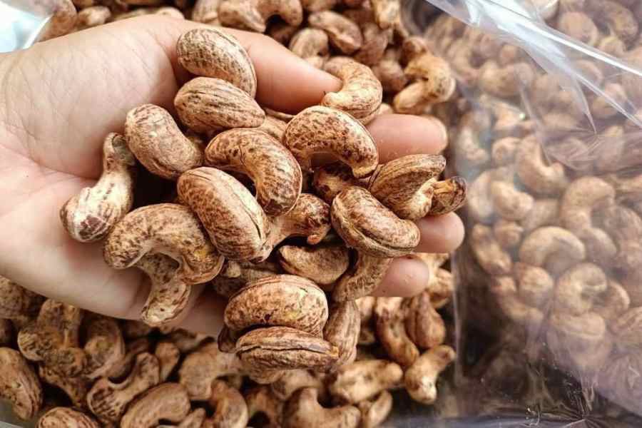 VẬN CHUYỂN HẠT ĐIỀU ĐẮK LẮK ĐI HÀ NỘI VẬN CHUYỂN HẠT ĐIỀU ĐẮK LẮK ĐI HÀ NỘI