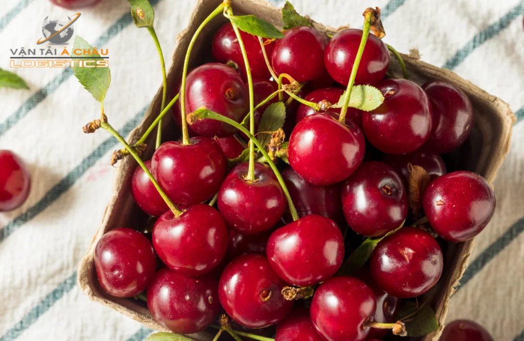 Vận chuyển cherry bằng xe lạnh từ TP.HCM ra Hà Nội – Giải pháp logistics chuyên nghiệp